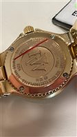 Orologio Raymond Weil Donna Amadeus in Acciaio placcato oro giallo 2920413 - 2920413